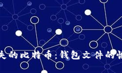 如何找回丢失的比特币：钱包文件的恢复方法详解