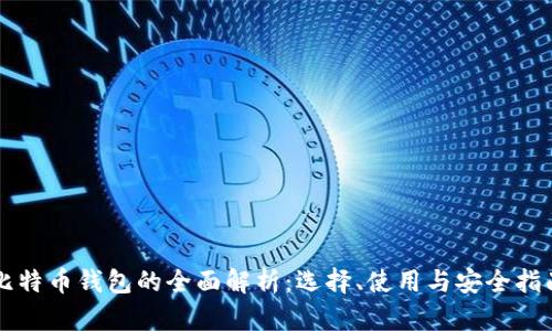 比特币钱包的全面解析：选择、使用与安全指南