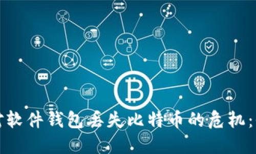 如何应对软件钱包丢失比特币的危机：全面指导