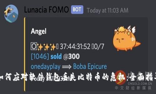 如何应对软件钱包丢失比特币的危机：全面指导
