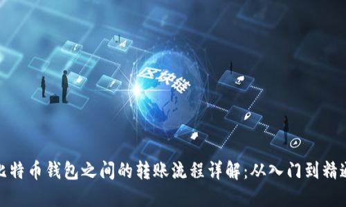 比特币钱包之间的转账流程详解：从入门到精通