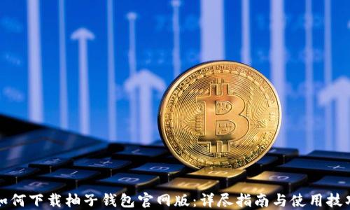 
如何下载柚子钱包官网版：详尽指南与使用技巧