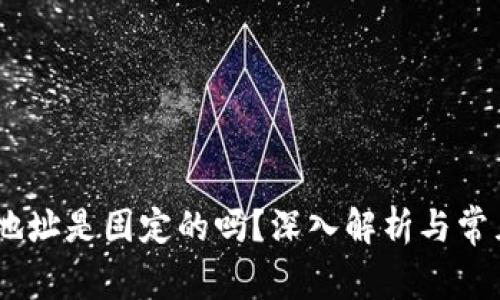 USDT钱包地址是固定的吗？深入解析与常见问题解答