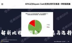 全面解析比特币钱包的种