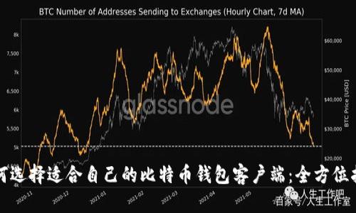 如何选择适合自己的比特币钱包客户端：全方位指南