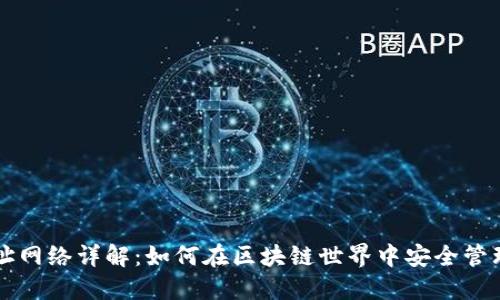 以太坊钱包地址网络详解：如何在区块链世界中安全管理你的数字资产