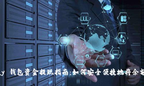 GoPay 钱包资金提现指南：如何安全便捷地将余额转出