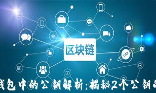 
比特币钱包中的公钥解析：揭秘2个公钥的重要性