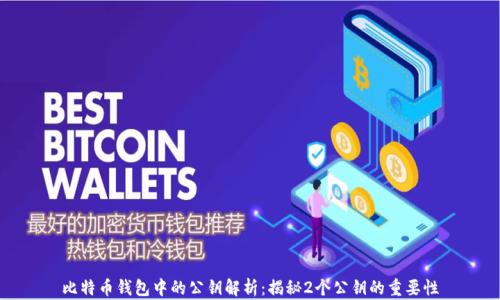 
比特币钱包中的公钥解析：揭秘2个公钥的重要性