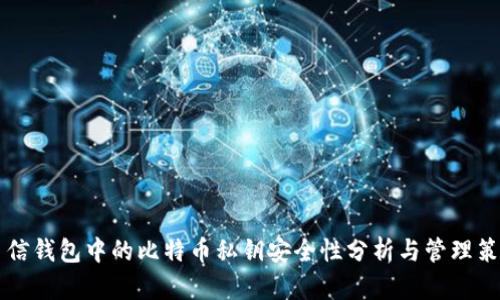 币信钱包中的比特币私钥安全性分析与管理策略