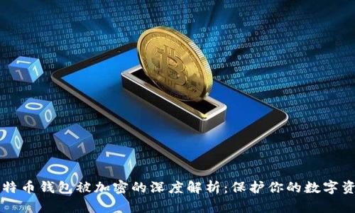 比特币钱包被加密的深度解析：保护你的数字资产