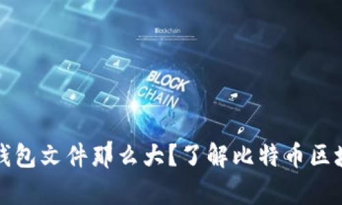 为什么比特币钱包文件那么大？了解比特币区块链的存储机制