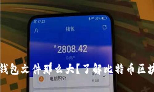 为什么比特币钱包文件那么大？了解比特币区块链的存储机制