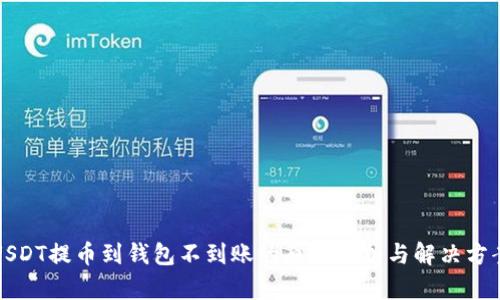USDT提币到钱包不到账的原因解析与解决方案