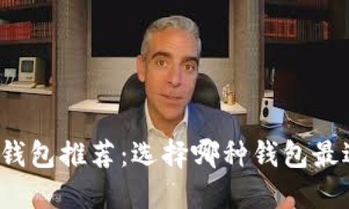 比特币钱包推荐：选择哪种钱包最适合你？