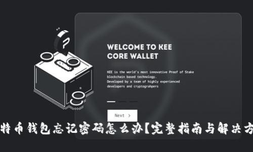 比特币钱包忘记密码怎么办？完整指南与解决方案