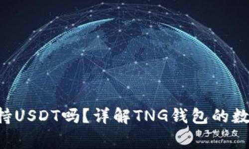 tng钱包支持USDT吗？详解TNG钱包的数字货币功能