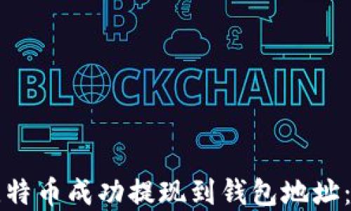 
如何将比特币成功提现到钱包地址：完整指南