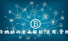 比特币钱包子地址的全面