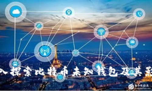 深入探索比特币未知钱包及其影响