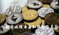 深入探索比特币未知钱包