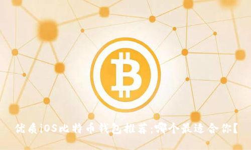 优质iOS比特币钱包推荐：哪个最适合你？