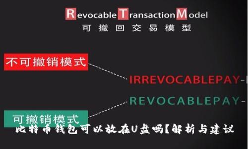 比特币钱包可以放在U盘吗？解析与建议