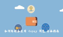 如何选择和使用 Copay 钱包