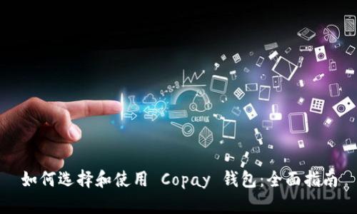 如何选择和使用 Copay 钱包：全面指南