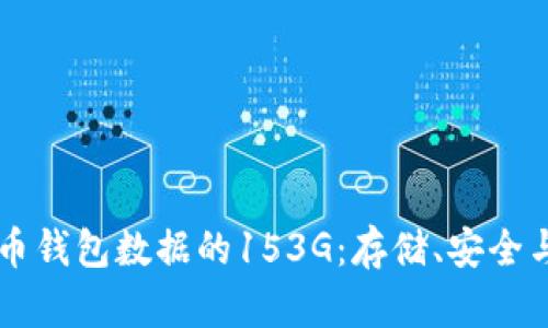 了解比特币钱包数据的153G：存储、安全与管理技巧