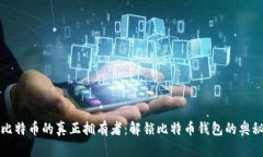 比特币的真正拥有者：解