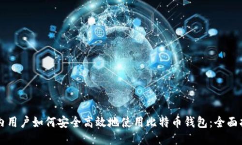 国内用户如何安全高效地使用比特币钱包：全面指南