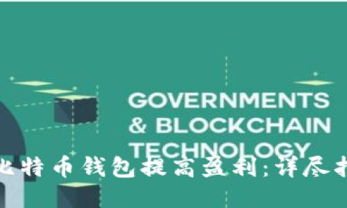 如何通过比特币钱包提高盈利：详尽指南与策略