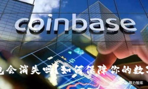 区块链钱包会消失吗？如何保障你的数字资产安全