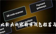 国外比较大的比特币钱包