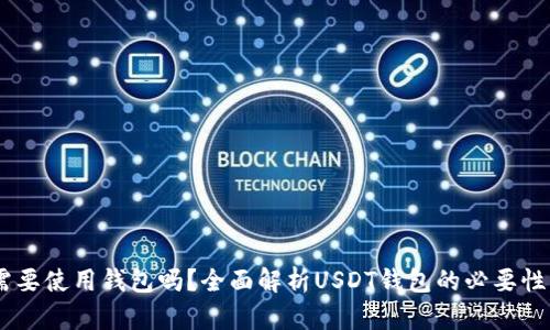 USDT需要使用钱包吗？全面解析USDT钱包的必要性与选择