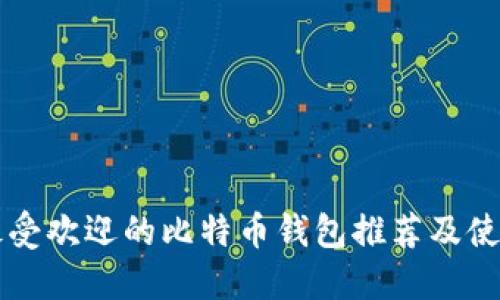 国外最受欢迎的比特币钱包推荐及使用指南