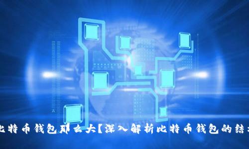 为什么比特币钱包那么大？深入解析比特币钱包的结构与容量