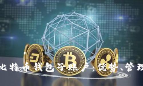 全面解析比特币钱包子账户：优势、管理与安全性
