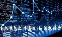 比特币手机钱包文件丢失