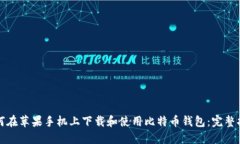 如何在苹果手机上下载和