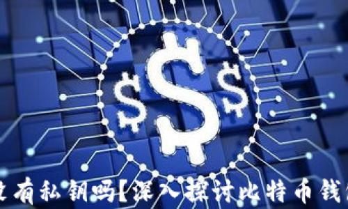 
比特币钱包可以没有私钥吗？深入探讨比特币钱包的安全性与隐私