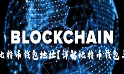 如何找到新比特币钱包地址？详解比特币钱包与地址的关系