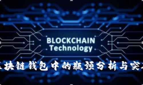 区块链钱包中的瓶颈分析与突破