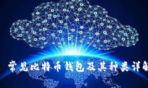 : 常见比特币钱包及其种类详解