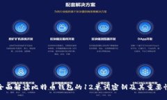 全面解读比特币钱包的1
