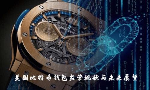 美国比特币钱包监管现状与未来展望