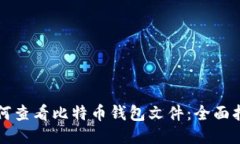 如何查看比特币钱包文件