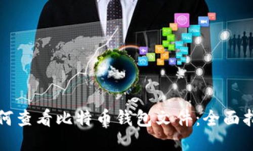 如何查看比特币钱包文件：全面指南