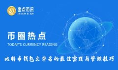 比特币钱包文件名的最佳